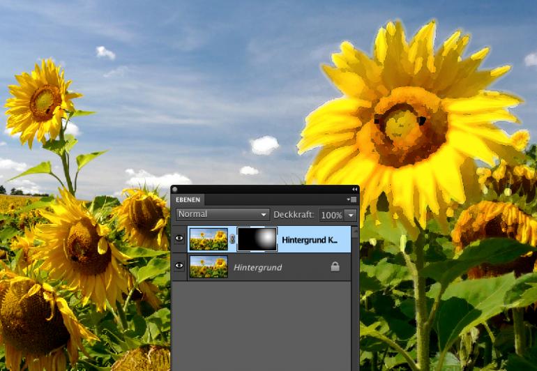 Photoshop Elements 9: Filter & Panoramen