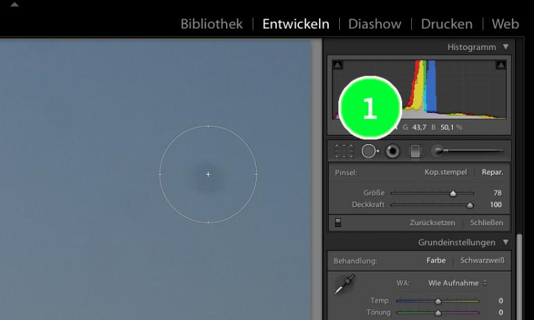 Lightroom: Flecken entfernen