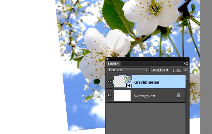 Photoshop Elements 9: Ebenen