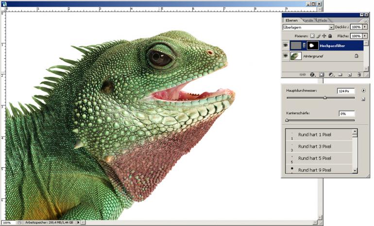 Web-Bilder: Perfekte Schärfe mit Photoshop