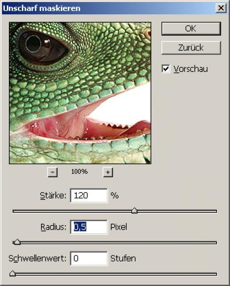 Web-Bilder: Perfekte Schärfe mit Photoshop