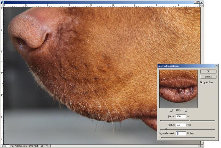 Mit Photoshop Fotos für den Druck schärfen