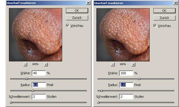 Mit Photoshop Fotos für den Druck schärfen