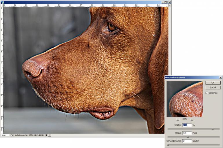 Mit Photoshop Fotos für den Druck schärfen