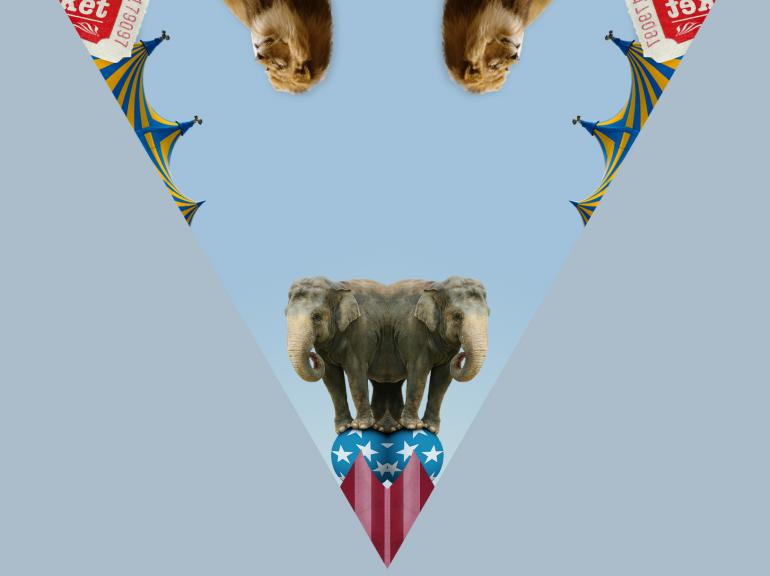 Photoshop-Montage: Kaleidoskop