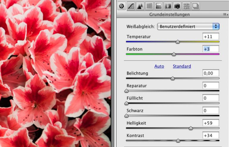Basiswissen: Farbkorrekturen in Camera RAW