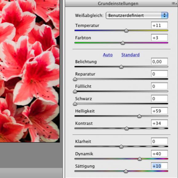 Basiswissen: Farbkorrekturen in Camera RAW