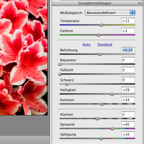 Basiswissen: Farbkorrekturen in Camera RAW