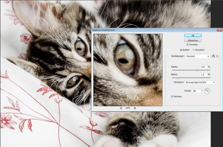 Photoshop: 7 Kniffe für Tierfotos