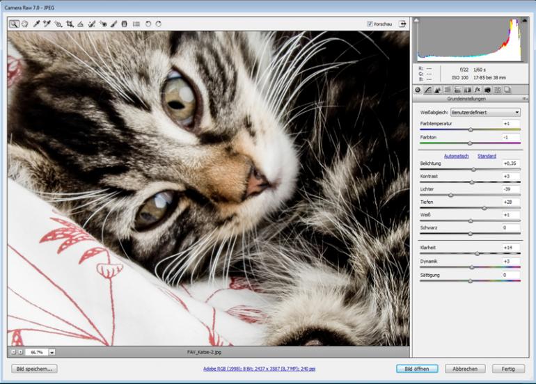 Photoshop: 7 Kniffe für Tierfotos