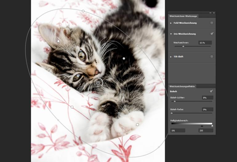 Photoshop: 7 Kniffe für Tierfotos