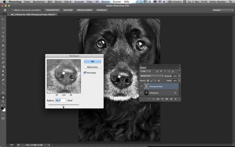 Photoshop Fellstrukturen Gekonnt Betonen Digitalphoto