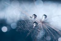 Foto Basics Fotografieren In Dunklen Raumen
