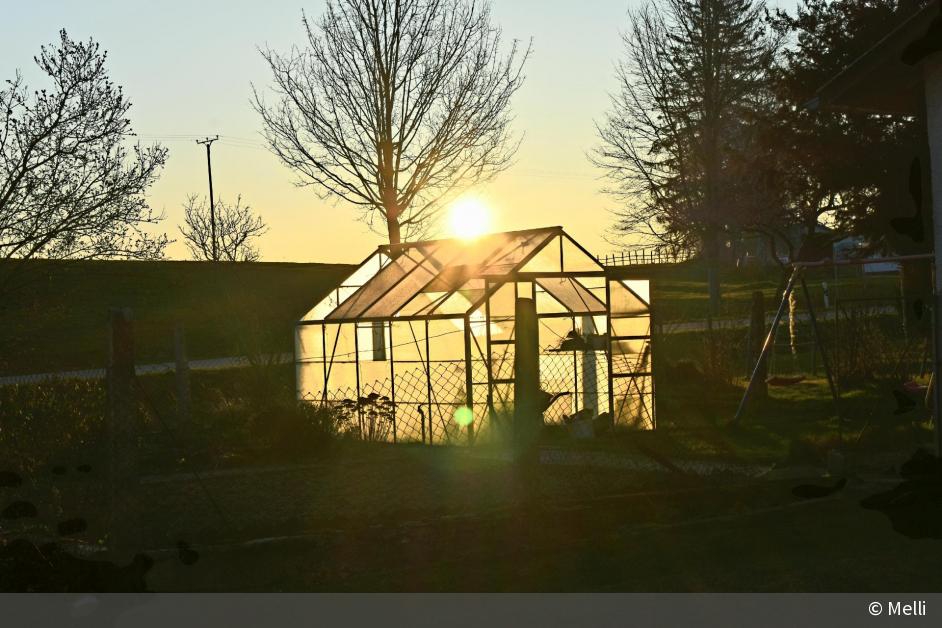 Sonnenaufgang im Garten | DigitalPHOTO