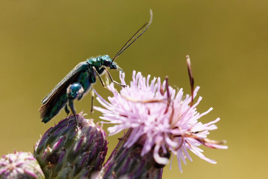 klein ganz groß DigitalPHOTO