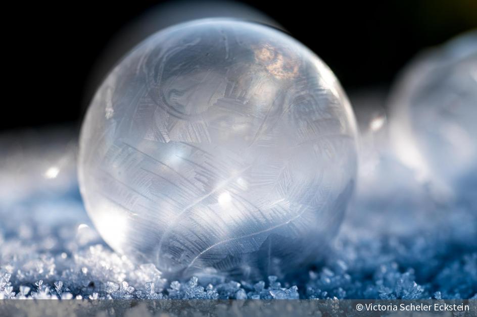 Frozen DigitalPHOTO