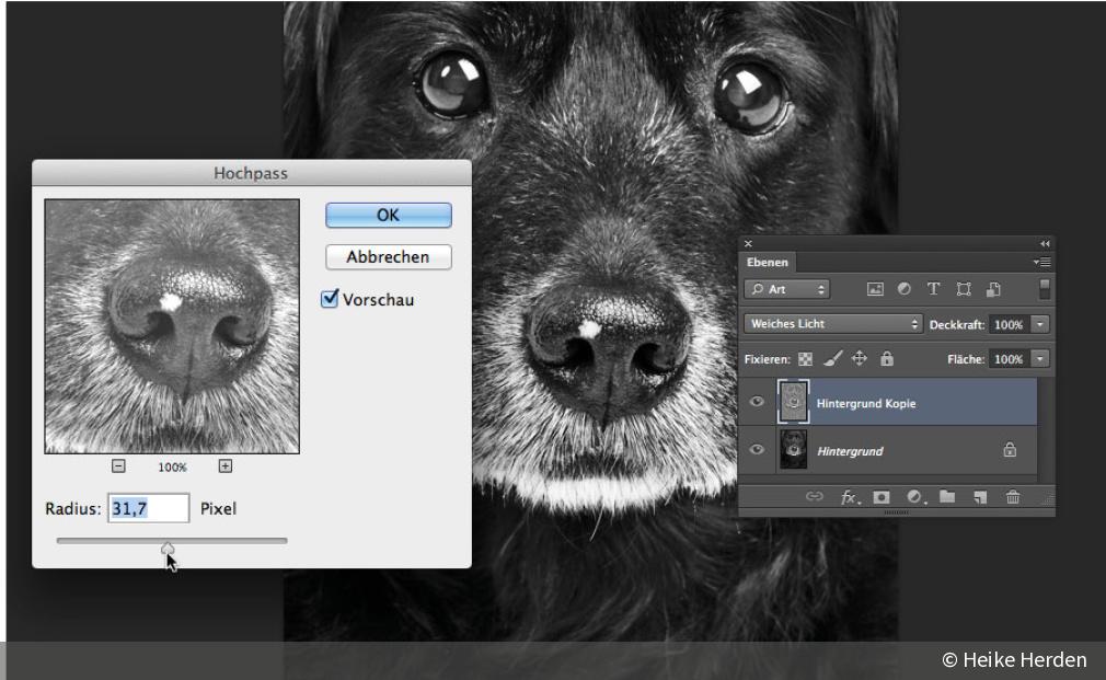Mit FellStrukturen gekonnt hervorheben DigitalPHOTO
