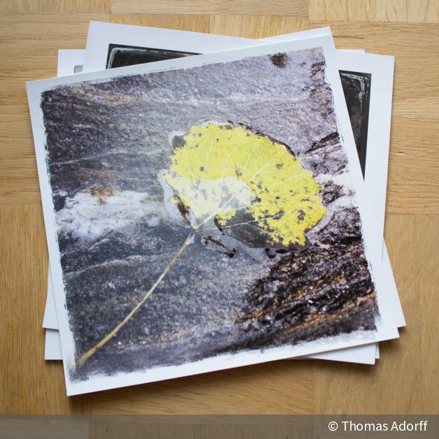 Polaroids So drucken Sie RetroFotos aus