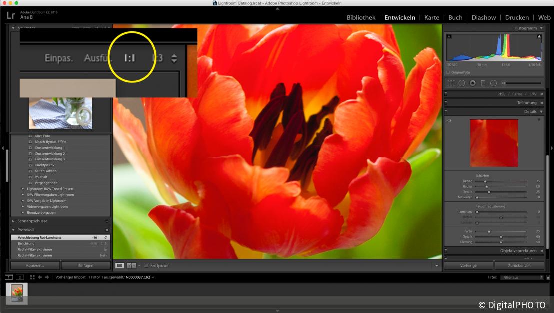 Lightroom Bilder schärfen leichtgemacht