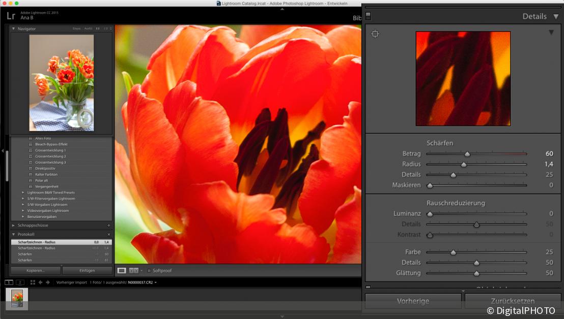 Lightroom Bilder schärfen leichtgemacht