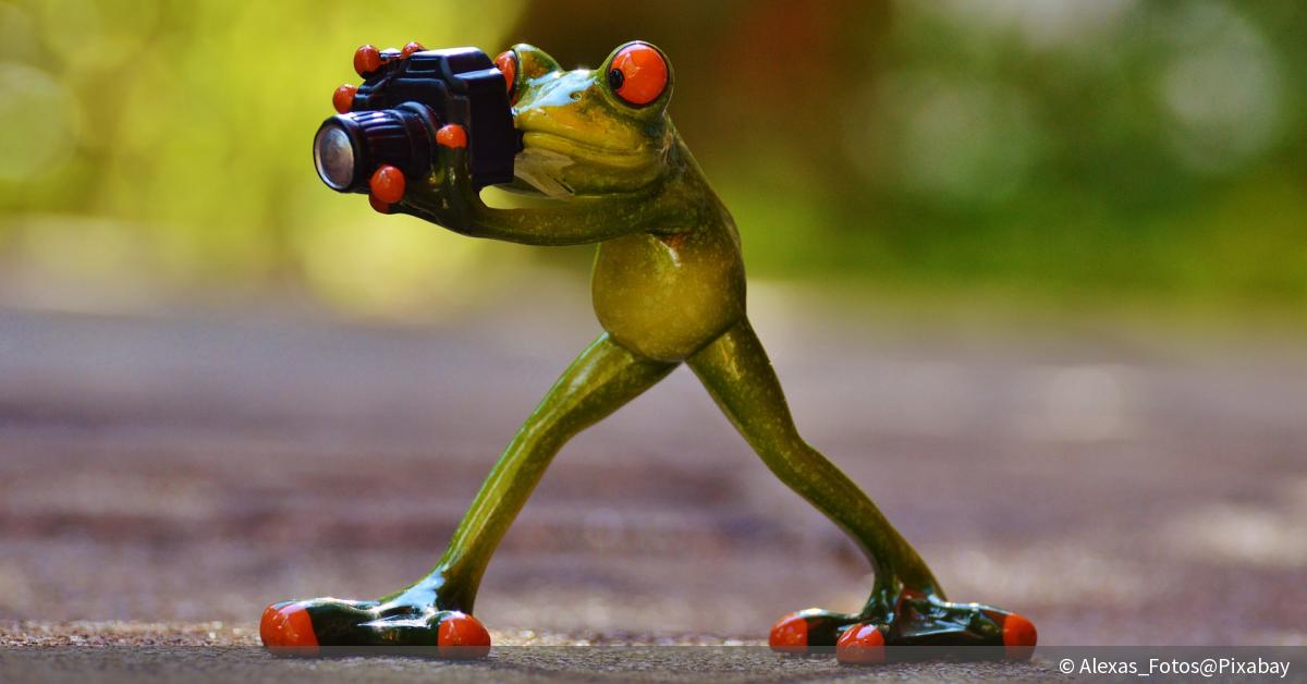 Foto-Basics: Unscharfe Fotos vermeiden | DigitalPHOTO