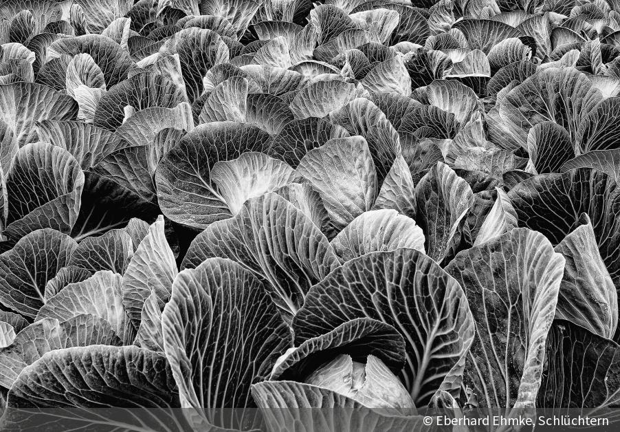 Monochrom Die Top 10 aus dem Leserwettbewerb