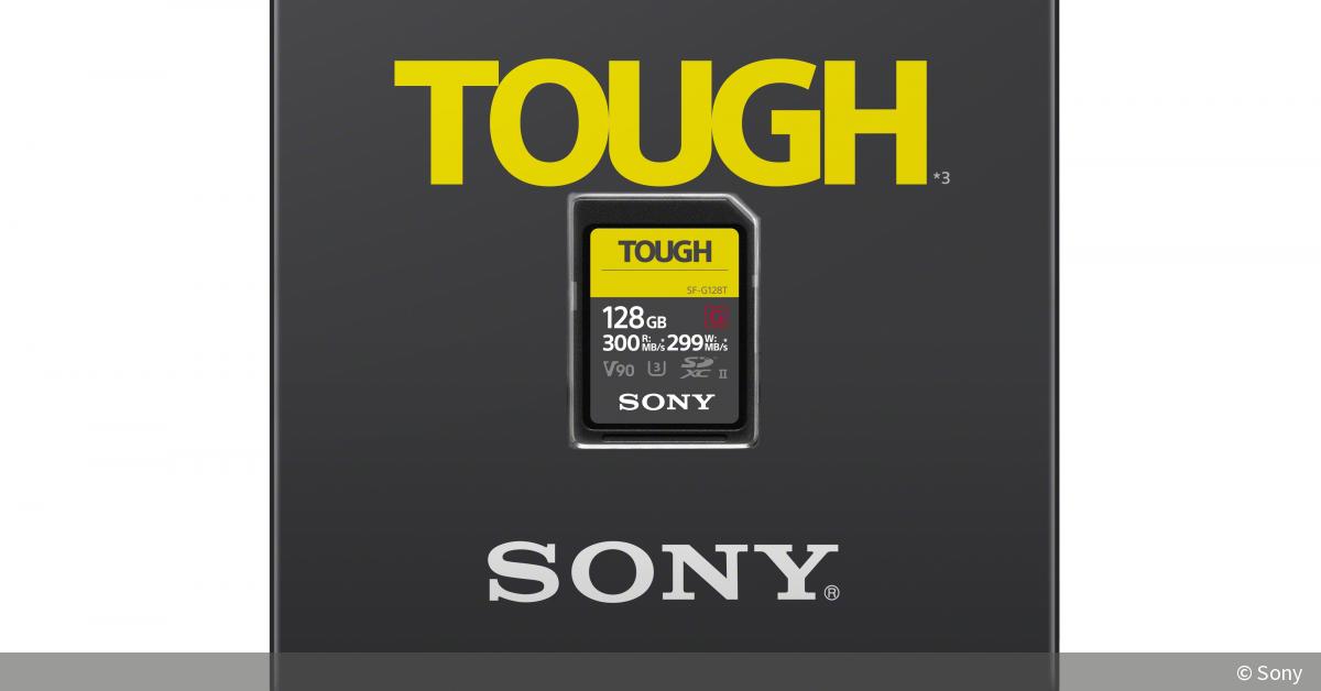 Карта памяти sony cea g160t cfexpress 160gb type a