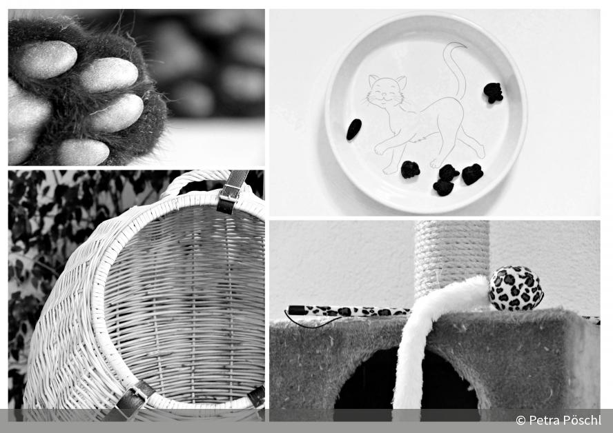 Inspiracles Fotografie Aufgaben Vogelperspektive Digitalphoto