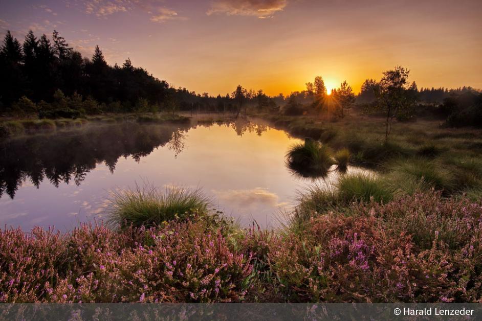Sommersonnenwende Die 11 Sch nsten Fotos Der Goldenen Stunde sommersonnenwende-die-11-sch-nsten-fotos-der-goldenen-stunde