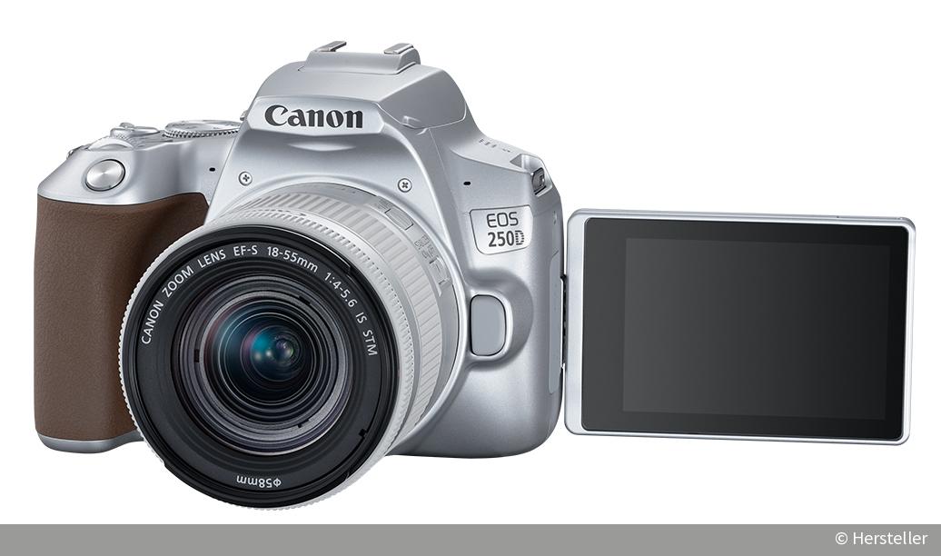 Die perfekte Einsteiger Spiegelreflexkamera 2019? Canon EOS 250D