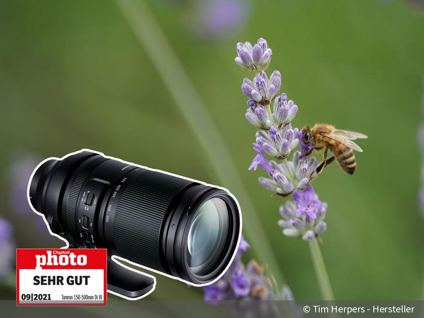 Tamron 150-500mm F/5-6.7 Di III VC VXD im Test [SEHR GUT]