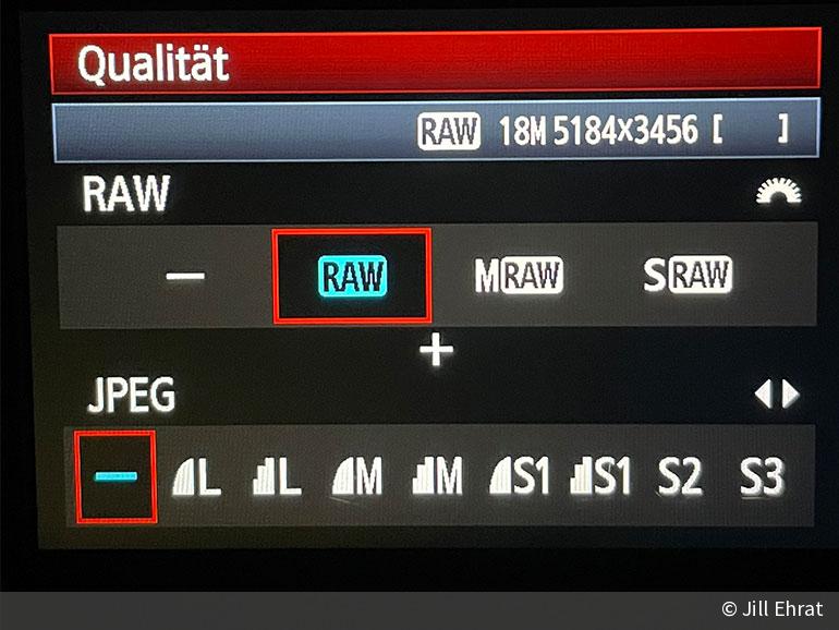 Diese RAWFormate gibt es Hersteller und Unterschiede