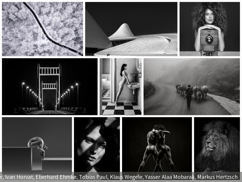 Die 10 besten Schwarzweiß-Aufnahmen aus unserem Fotowettbewerb 2023 | DigitalPHOTO