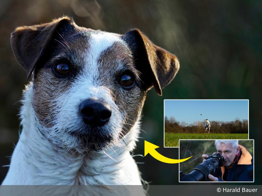 Sigma 60–600mm F4,5–6,3 DG DN OS | Sports: Ultratelezoom im Einsatz | DigitalPHOTO