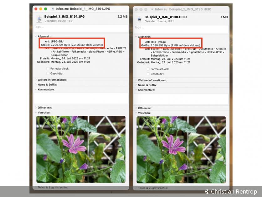 jpeg-vs-heif-welches-dateiformat-ist-besser