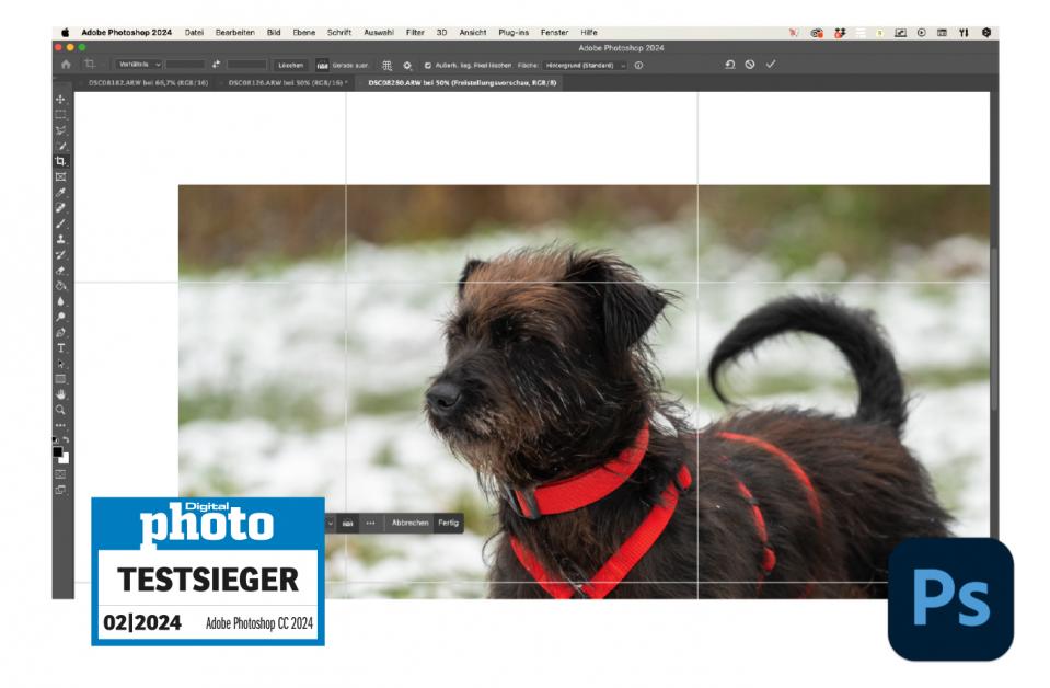 BILDBEARBEITUNGSPROGRAMM TEST 2022 visual data 7