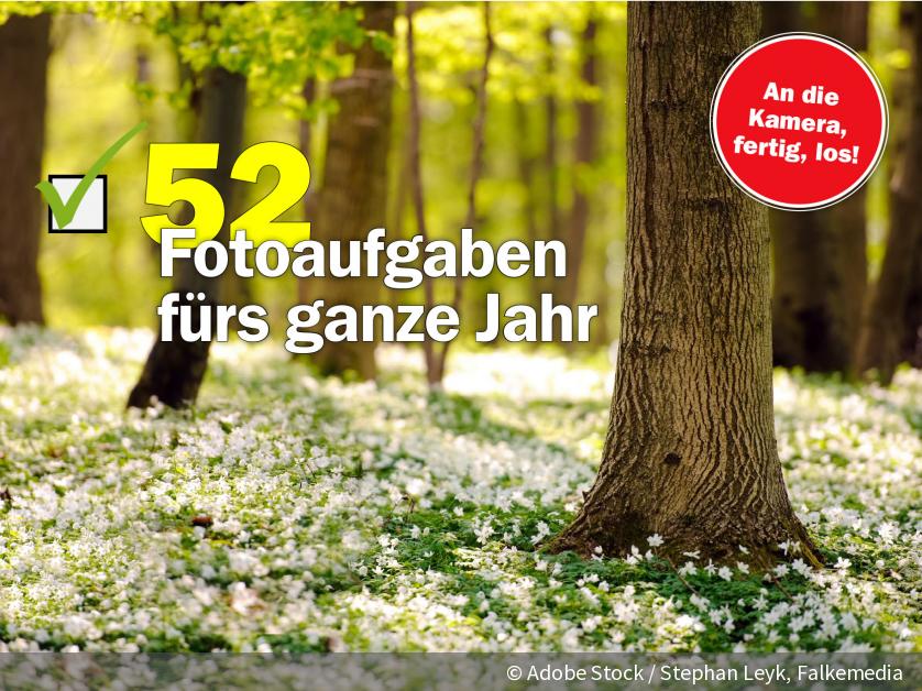52 Fotoaufgaben Fur Das Ganze Jahr Digitalphoto