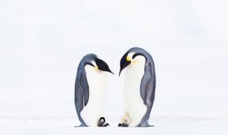 Naturfotografie: GDT Naturfotograf des Jahres 2019, die Gewinner stehen fest!