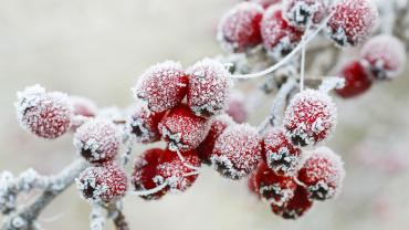 © agneskantaruk– stock.adobe.com/de