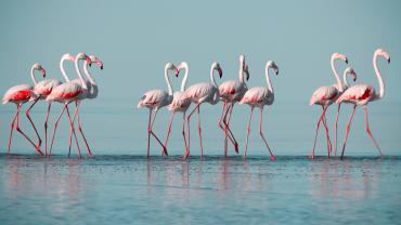 Yuliia Lakeienko - stock.adobe.com