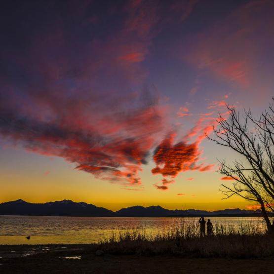 Helmut Portenkirchner