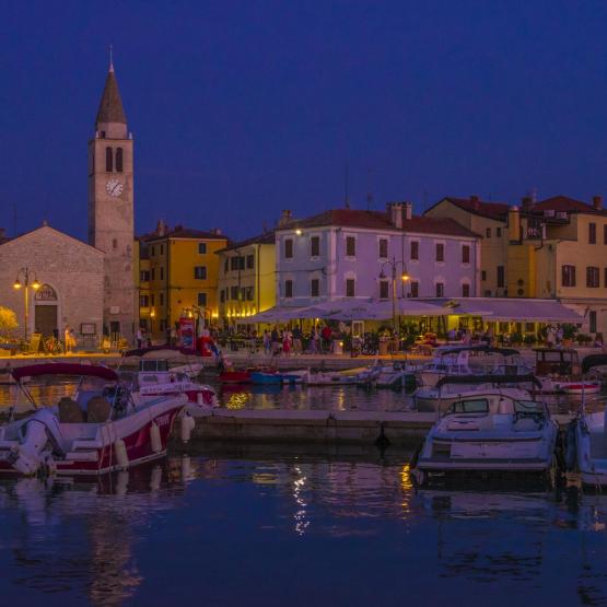 Helmut Portenkirchner