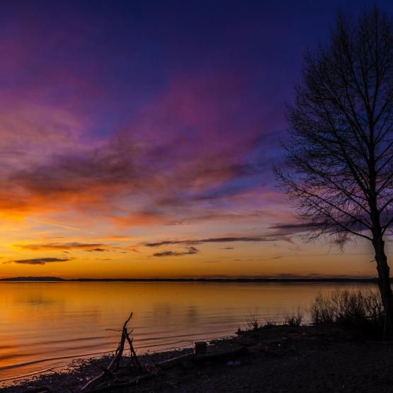 Helmut Portenkirchner