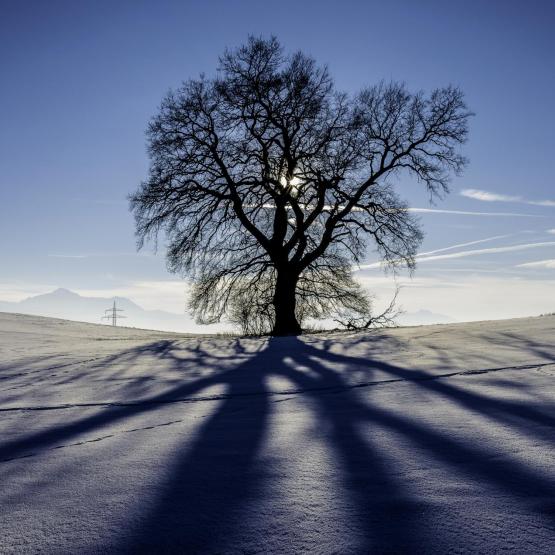 Helmut Portenkirchner