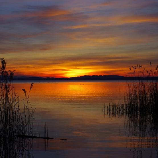 Helmut Portenkirchner