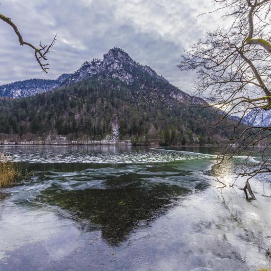 Helmut Portenkirchner