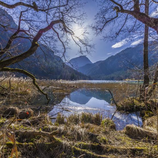 Helmut Portenkirchner