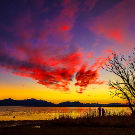 Helmut Portenkirchner