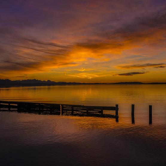 Helmut Portenkirchner