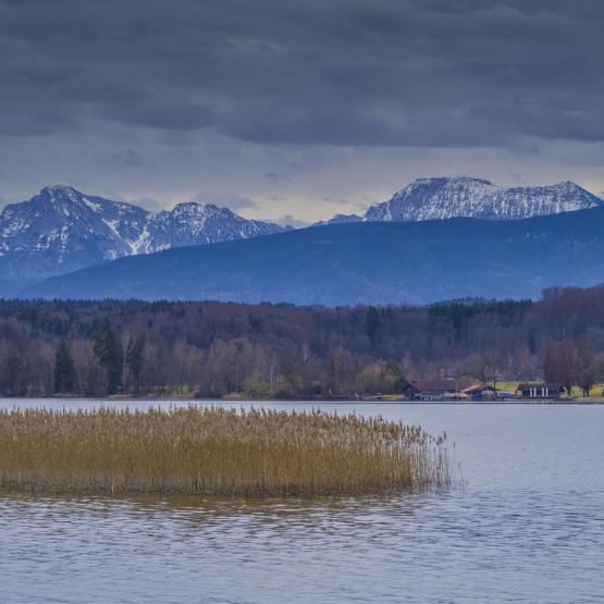 Helmut Portenkirchner